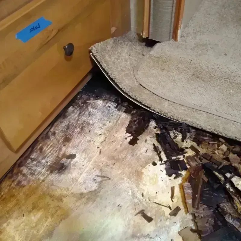 Wood Floor Water Damage in West Springfield, VA